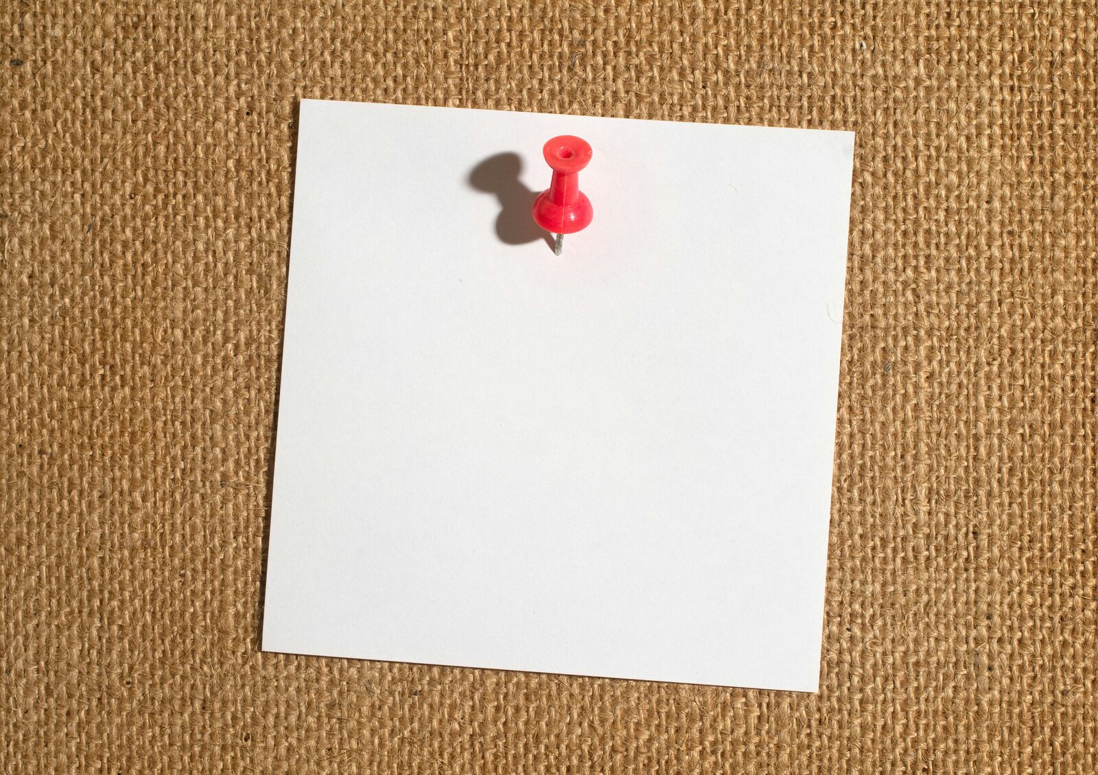 A single sheet of paper pinned to a plain wall, lit from one side
